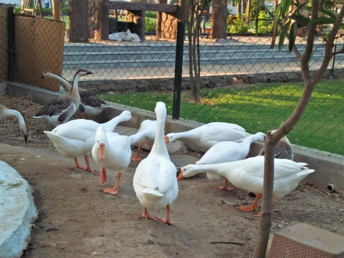 Royal Club & Resort Ahmedabad Buitenkant foto